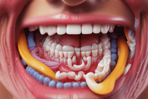 Appetite Control and Oral Cavity Anatomy