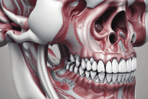 Dentition Root Morphology Quiz