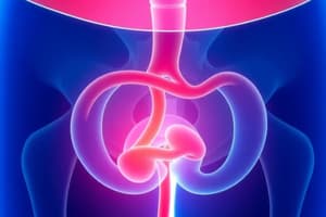 Urinary and Lower UTI Incontinence