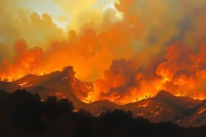 Wildfires Impact in Los Angeles