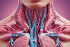 Hypothyroidism and Thyroid Gland Quiz