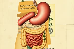 D1.2 - The Digestive System