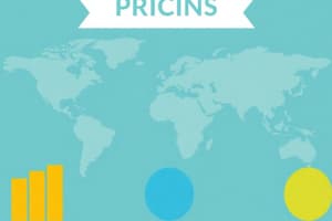 International Business Marketing MARKEC04 - Price