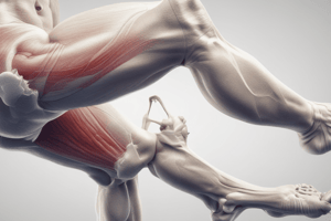 Special Tests for Hamstring Strain and Snapping Hip Conditions