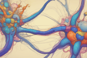 Receptores de Neurotransmisores