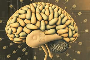 Neurotransmitters Overview