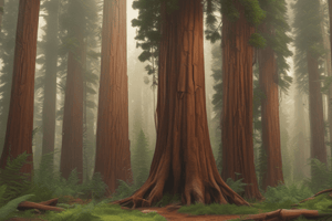 Biology Chapter: Redwoods and Arms Races