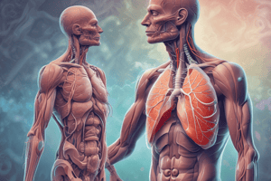 Respiratory System: Lung Compliance and Airway Resistance