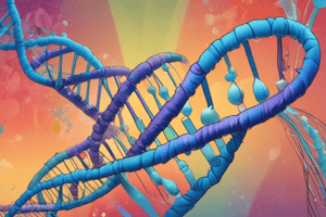 DNA Replication: Primase and Replication Bubble