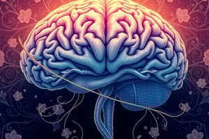 Central Nervous System: Structure and Function