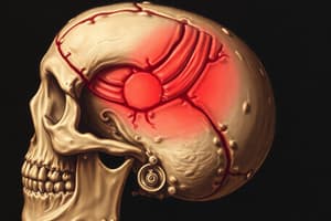 Traumatic Brain Injury Overview