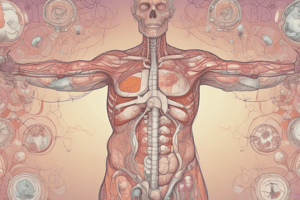 Endocrine System Overview and Functions