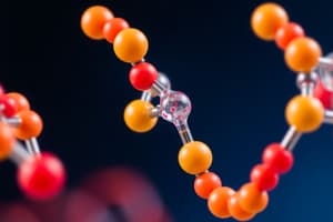 Bases, Nucleosides, Nucleotides Overview