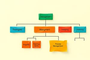 Management des Processus et Organisation