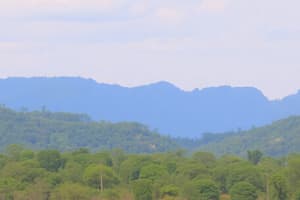 Area-Based Conservation: Buffer Zones