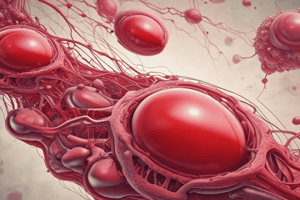 Chapter 17: Hematologic Systems - Microcytic Anemia Causes