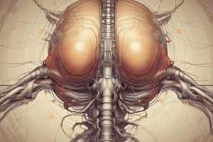 pathophys2 final: The Spinal Cord ppt