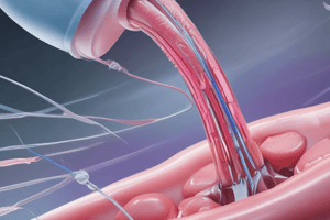 Ureteroscopy and Percutaneous Nephrolithotomy Quiz