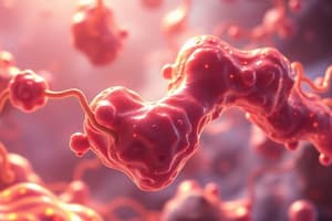 Lipid Metabolism and Fatty Acid Oxidation