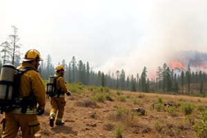 Wildland Fire Incident: Policy and Procedure