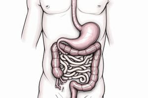 Gastrointestinal and Urologic Emergencies