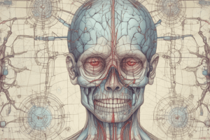 Cranial Nerves in Neuroscience Section 2