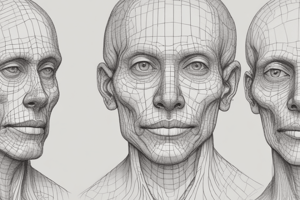 Anatomy of the Face