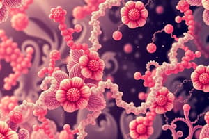 Biochemistry: Hydrolysis and Condensation Reactions