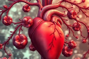 Cardiovascular and Circulatory System Quiz