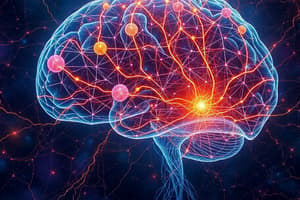 Sensory Pathways and Diencephalon