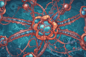 RNA and DNA Nitrogenous Bases