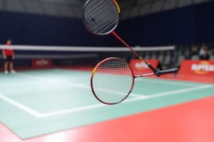 Badminton Overview and Terminology