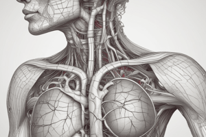 Cardiovascular System: Introduction to CVS