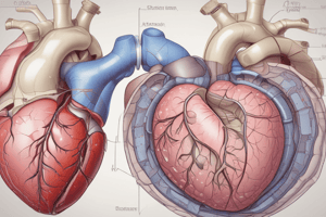 Mitral Valve Disease Overview