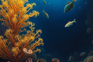 Marine Biology: Deep-Sea Ecosystems Quiz