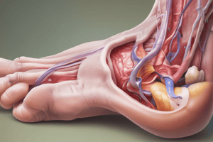 Post-Operative Infection I & II by Allen J Kempf, DPM, MS