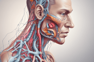 Lung Mechanics: Factors Affecting Airway Resistance