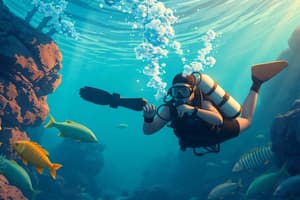 ITDA Advanced Scuba Diver Training