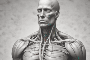 Physiology Chapter 1: Muscle Reflexes