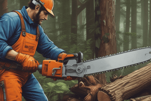 Chainsaw Maintenance and Safety