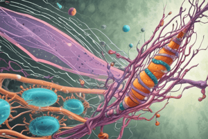 MICR3330: Lateral Gene Transfer Lecture