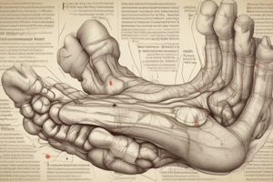 Foot and Ankle Tumors Assessment