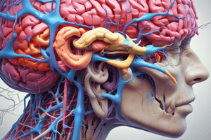 Neurophysiology of Sensation Quiz