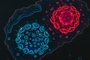 Cell Biology Quiz - Organelles and Signaling