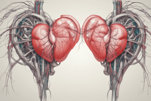 The Conductive System of the Heart: Understanding the Cardiac Conduction System