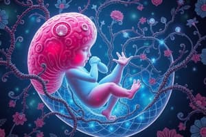 Embryonic and Nervous System Development