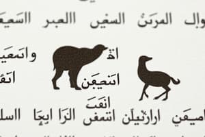 Arabic Language Quiz