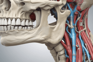 Anatomy of the Ligamentum Stylomandibulare and Upper Compartment of the Temporomandibular Joint