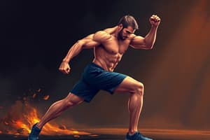 Muscle Coordination and Training Quiz