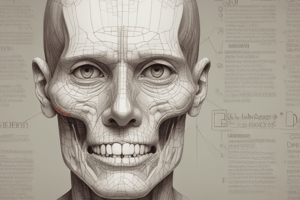 Medical Terminology Basics